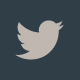 logo-twitter-ubicat